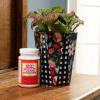 imageMod Podge Waterbase Sealer Glue and Finish8 oz